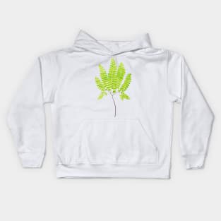 Northern maidenhair fern botanical illustration Kids Hoodie